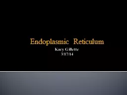 Kacy  Gillette 3/17/14 Endoplasmic Reticulum