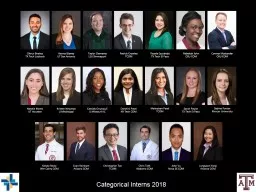 Categorical Interns 2018
