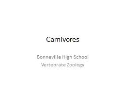 Carnivores Bonneville High School