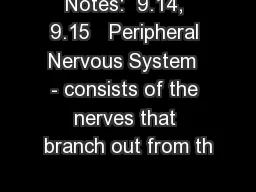 Notes:  9.14, 9.15   Peripheral Nervous System  - consists of the nerves that branch