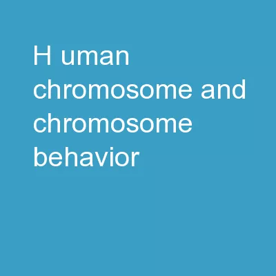 H uman chromosome and chromosome behavior