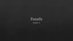 Fossils Chapter 11 EARTH SCIENCE PROJECT PRESENTATION