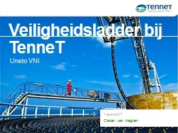 Veiligheidsladder bij TenneT