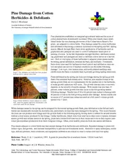 Pine Damage from Cotton Herbicides  Defoliants David J