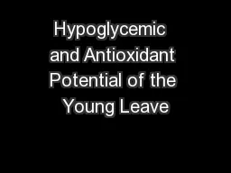 Hypoglycemic  and Antioxidant Potential of the Young Leave