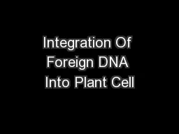 Integration Of Foreign DNA Into Plant Cell