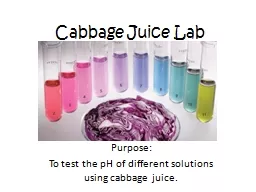Cabbage Juice Lab Purpose: