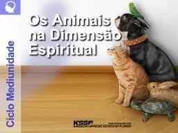 Vida dos Animais na  Dimensão Espiritual