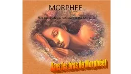 MORPHEE Plus besoin de cachets avec le thé Morphée