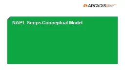 NAPL Seeps Conceptual Model