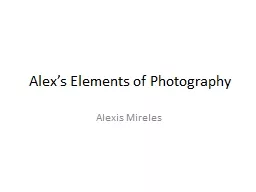 Alex’s  Elements of Photography