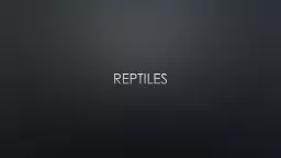 Reptiles What is a Reptile?
