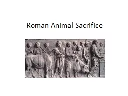 Roman Animal Sacrifice Roman Sacrifice
