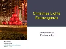 Christmas Lights Extravaganza