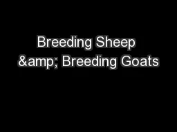 Breeding Sheep & Breeding Goats