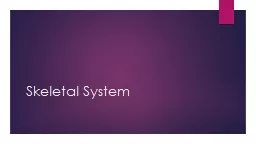 Skeletal System Skeletal System Facts:
