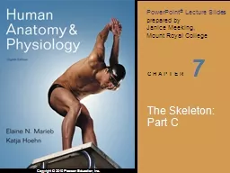 7  The Skeleton: Part C Appendicular Skeleton