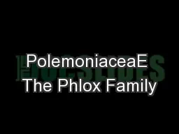 PolemoniaceaE The Phlox Family