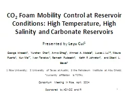 CO 2  Foam Mobility Control at Reservoir Conditions: High Temperature, High Salinity and