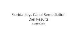 Florida Keys Canal Remediation