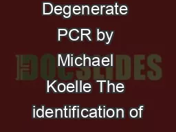 Degenerate PCR by Michael Koelle The identification of