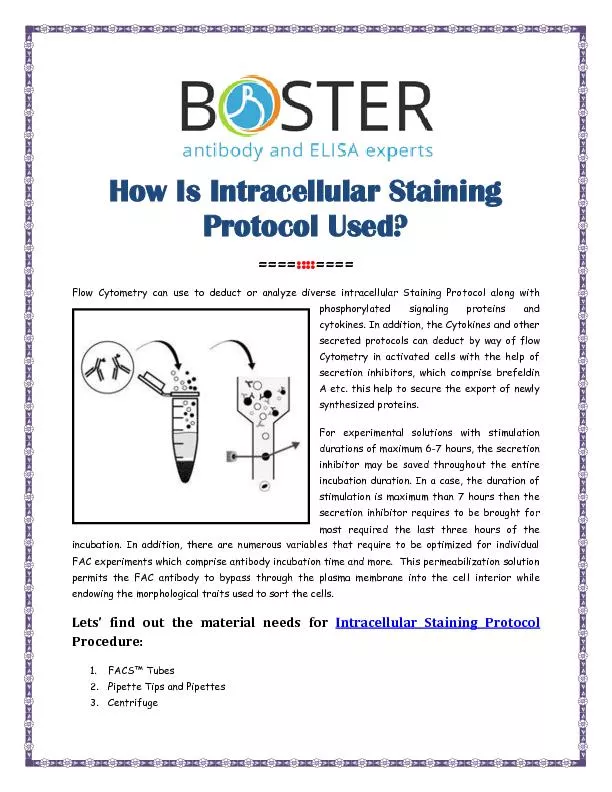 How Is Intracellular Staining Protocol Used