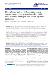 RESEARCH Open Access Chemokinemediated inflammation in