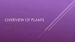 Overview of Plants Ch. 22 - 24