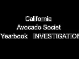 California Avocado Societ y  Yearbook   INVESTIGATIONS