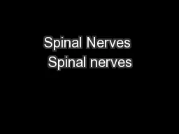 Spinal Nerves Spinal nerves