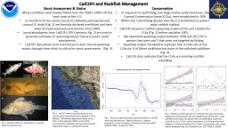CalCOFI and Rockfish Management