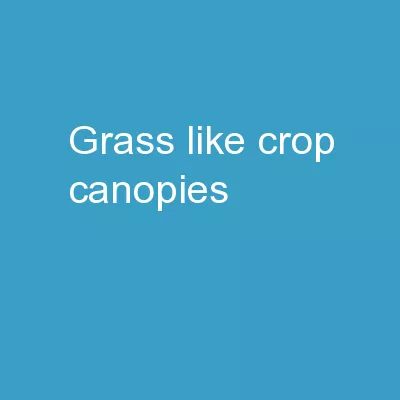 Grass-like Crop Canopies