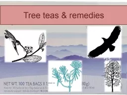 Tree teas & remedies