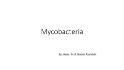 Mycobacteria By: Assis.