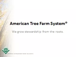 American Tree Farm System®