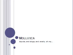 Mollusca Squids, and slugs, and snails, oh my...