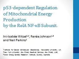 p 53-dependent Regulation
