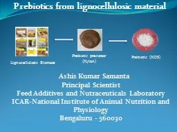 Prebiotics from lignocellulosic material