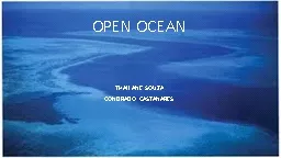 OPEN OCEAN THAILANE SOUZA