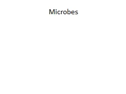 Microbes Figure 6.8   Characteristics of bacterial colonies-overview