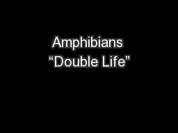 Amphibians “Double Life”