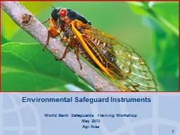 Environmental Safeguard Instruments