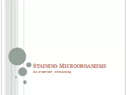 Staining Microorganisms An overview of staining