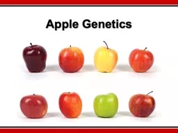 Apple Genetics What similarities and differences did you find between the two apples?