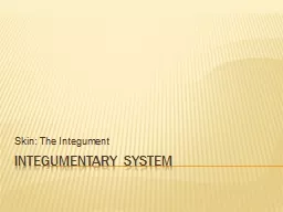 Integumentary System  Skin: The Integument