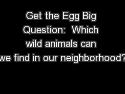 Get the Egg Big Question:  Which wild animals can we find in our neighborhood?