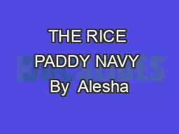 THE RICE PADDY NAVY By  Alesha