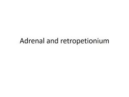 Adrenal and  retropetionium