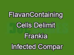 FlavanContaining Cells Delimit Frankia Infected Compar