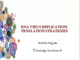 RNA VIRUS  REPLICATION/ TRNSLATION STRATEGIES